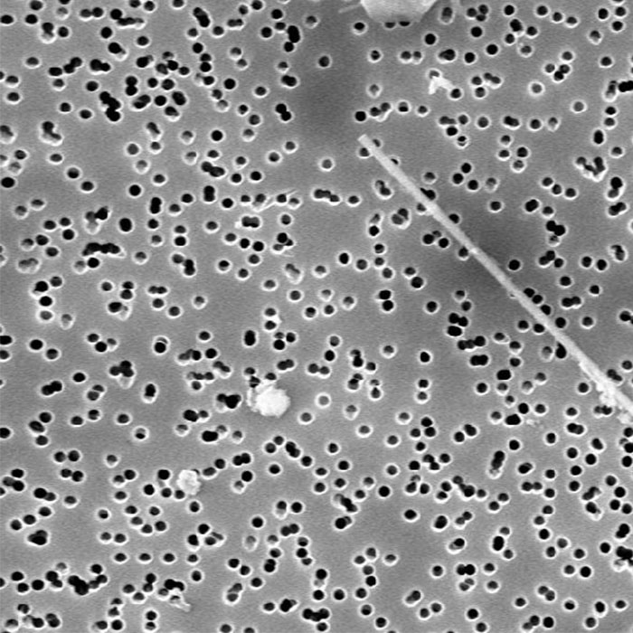 Membranes polycarbonate